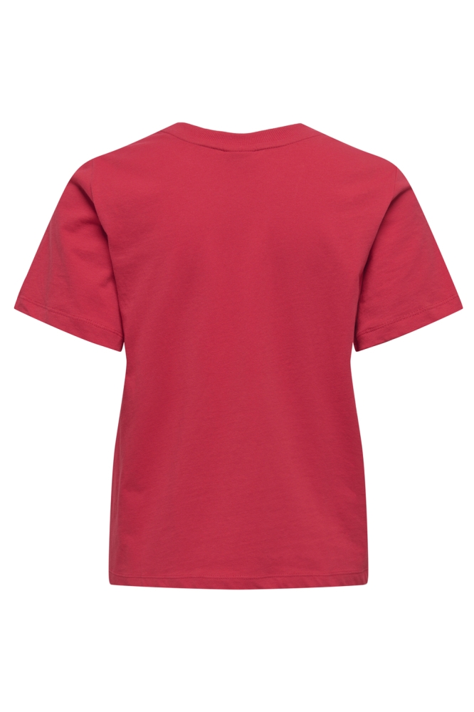 JDYPISA S/S PRINT TOP JRS NOOS 15298612 Ski Patrol/BITTERSWEET